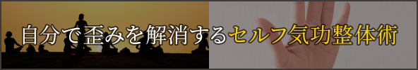 自分で歪みを解消するセルフ気功整体術